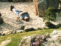 2003 květen v kamenném moři.